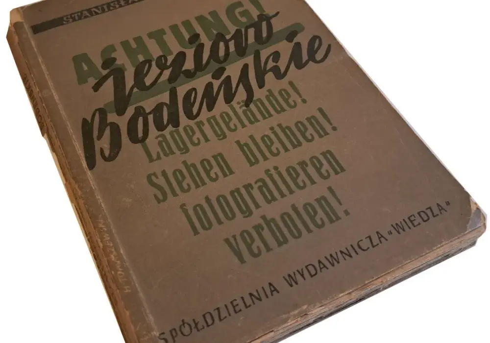 Napisał jezioro bodeńskie – odkryj tajemnice powieści Dygata