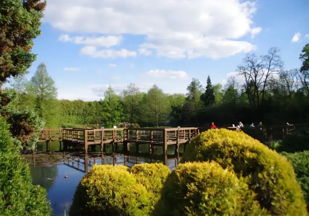 Bolestraszyce - arboretum, dwór i fort w jednym spacerze