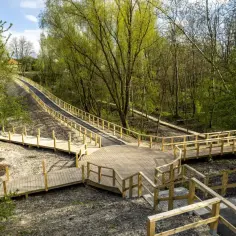 Drewniane kładki i tarasy w lesie. Sprawdź aktualny geopark Zabrze cennik, by zaplanować wizytę.