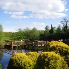 Drewniany pomost nad stawem, otoczony zielenią. W oddali widać ludzi spacerujących. To idealne miejsce na relaks, jedna z wielu atrakcji w Bolestraszycach.