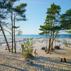 Dębki plaża: piaszczysta plaża z drzewami sosnowymi, ludźmi odpoczywającymi nad wodą i morzem w tle.
