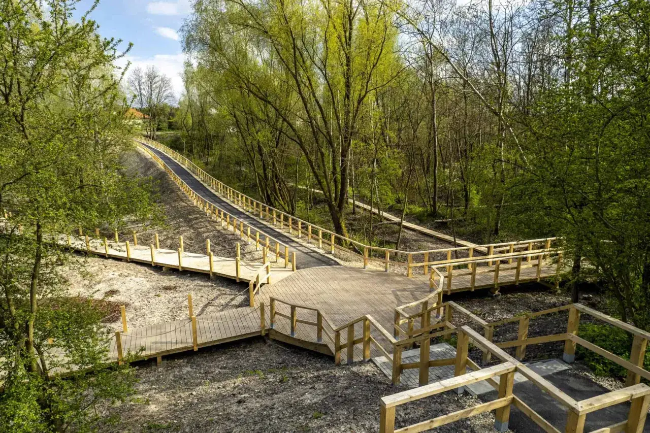 Drewniane kładki i tarasy w lesie. Sprawdź aktualny geopark Zabrze cennik, by zaplanować wizytę.