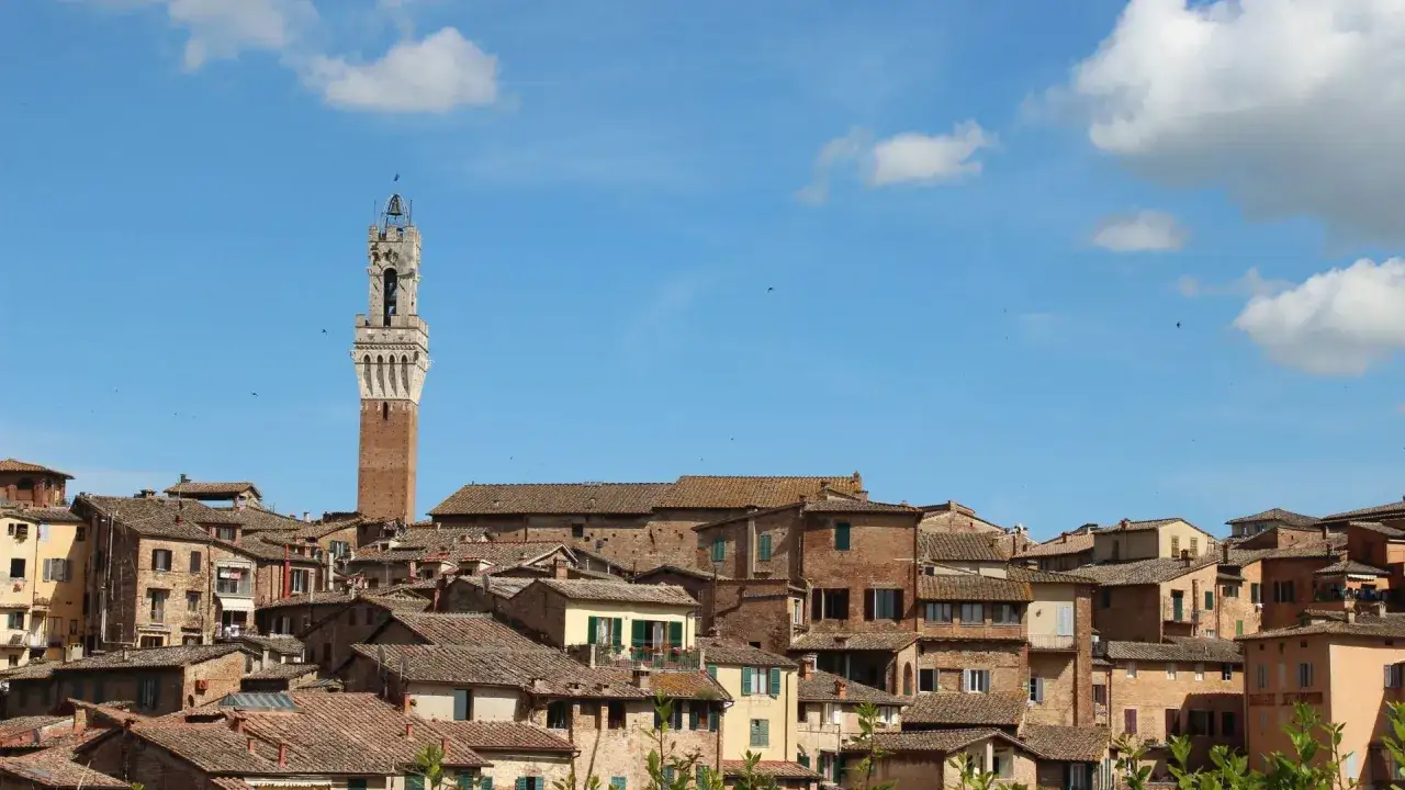 Widok na zabytkowe budynki Sieny z charakterystyczną wieżą Torre del Mangia.
