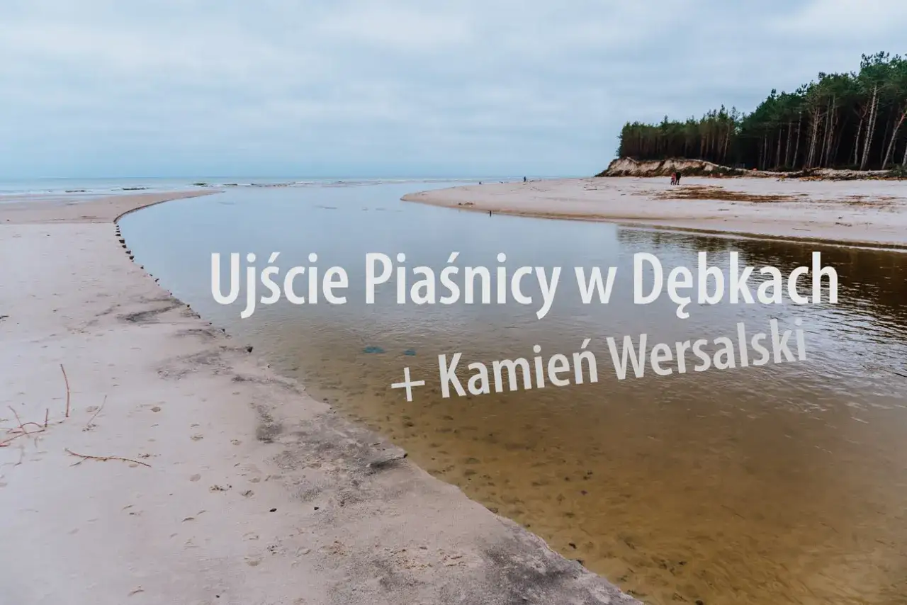 Ujście Piaśnicy w Dębkach, gdzie rzeka wpada do morza. Piękna plaża z wydmami i lasem sosnowym w tle.