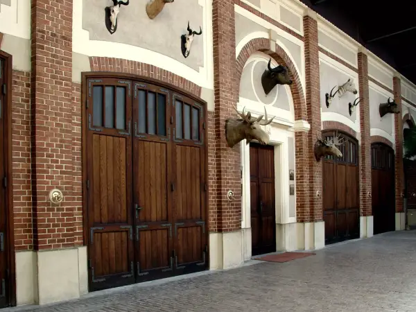 Łańcut - miasto z muzeum powozów? To coś więcej!