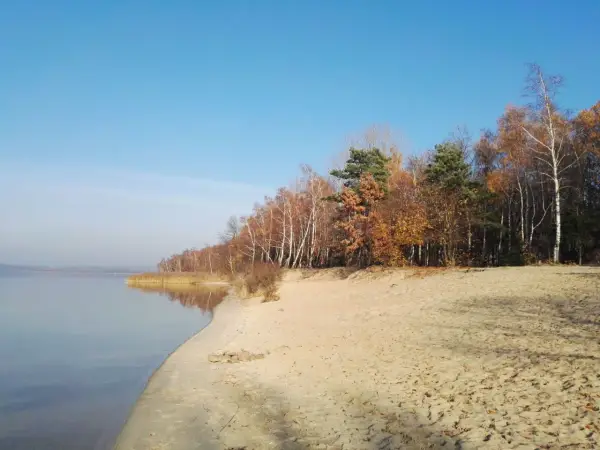 Plaża Dziećkowice - Czy to miejsce dla Ciebie? Sprawdź!