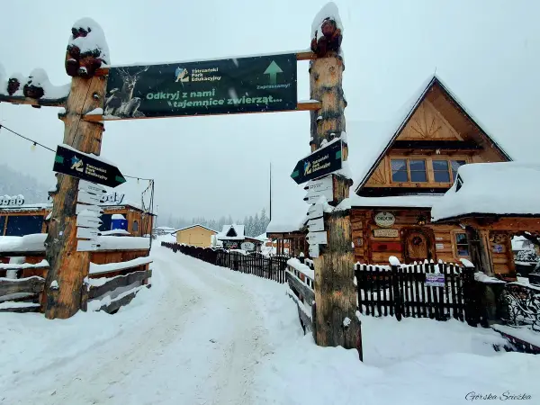 Wielka Krokiew Zakopane - Jak dojść? Trasy, parking, błędy