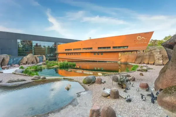 ZOO Wrocław - Ceny biletów i Afrykarium. Jak nie przepłacić?