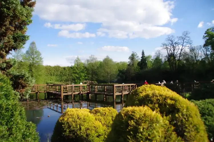 Bolestraszyce - arboretum, dwór i fort w jednym spacerze
